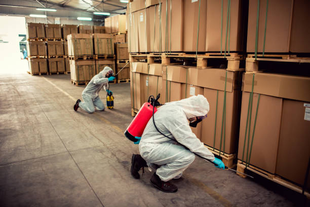 Best Cockroach Control Services  in Capitol Heights, MD