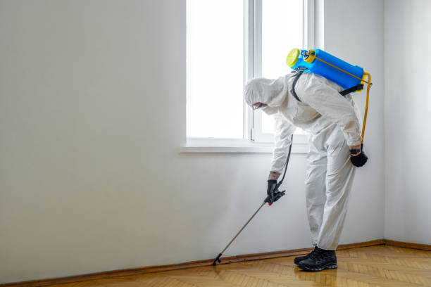 Best Wasp Removal Services  in Capitol Heights, MD
