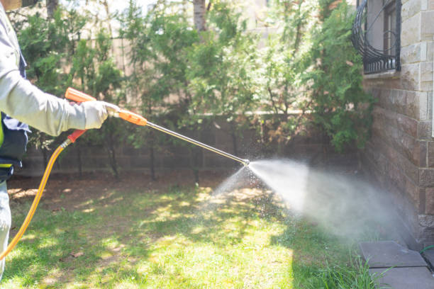 Reliable Capitol Heights, MD Pest Control Solutions