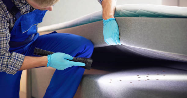 Best Best Pest Control Companies  in Capitol Heights, MD